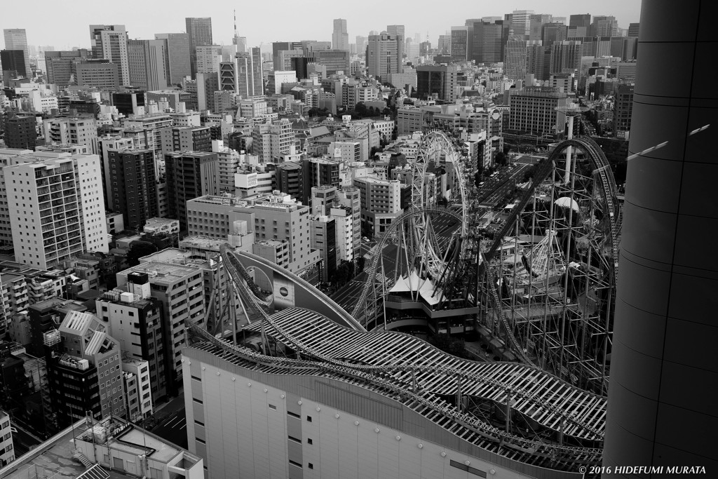 文京の街並み