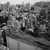 文京の街並み