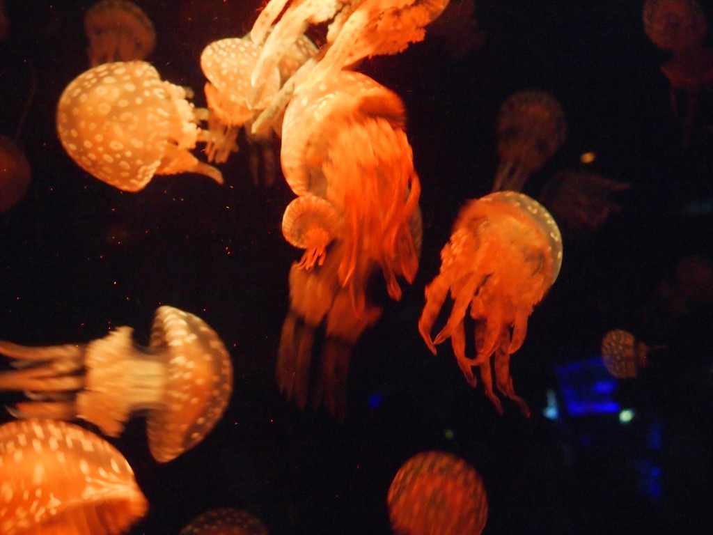 sea #2