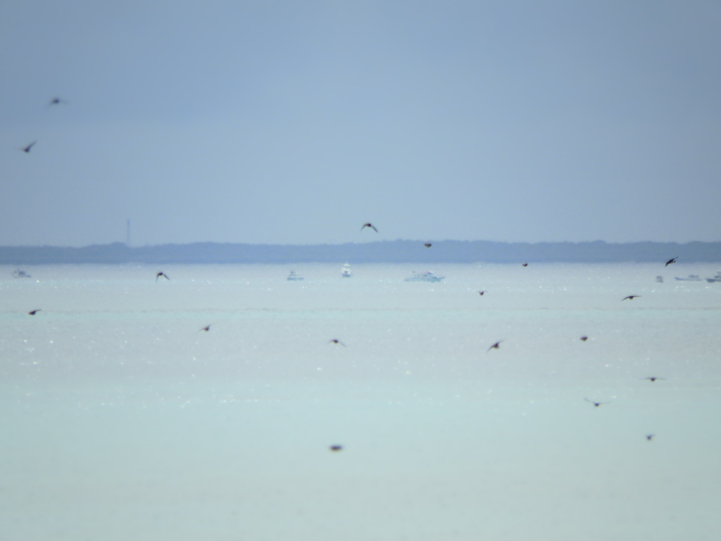 空色の海