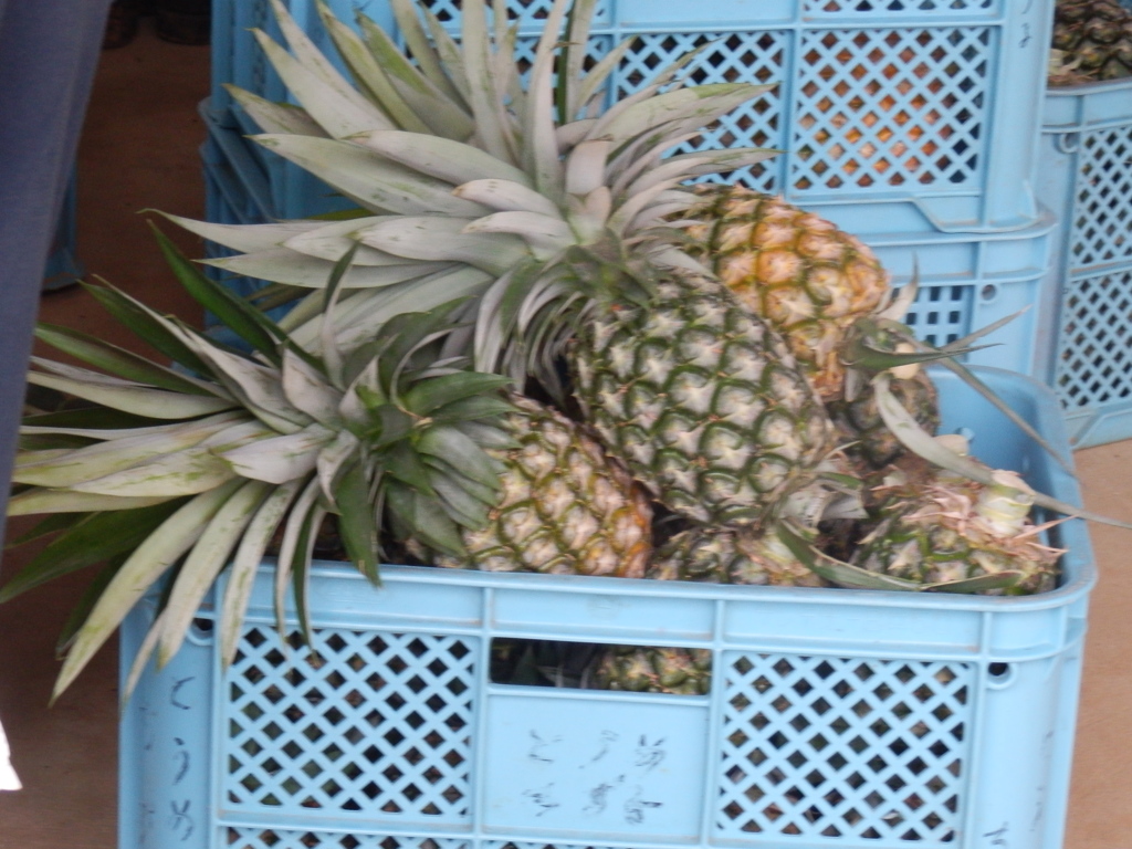 パイナップル