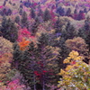 朝里峠　紅葉