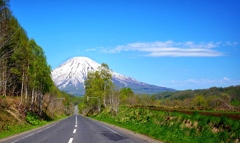 羊蹄山への道