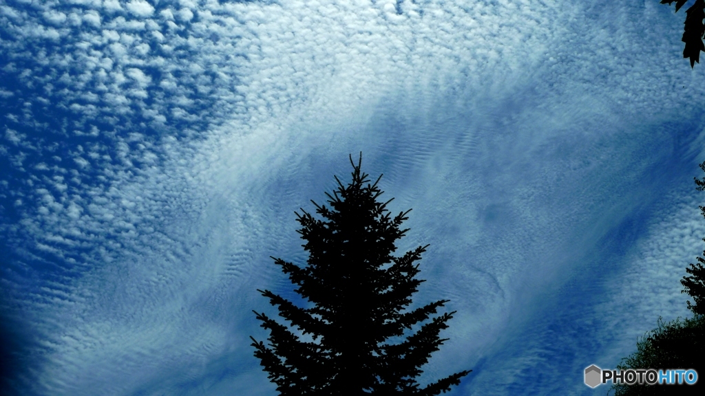いつの間にかに　いわし雲