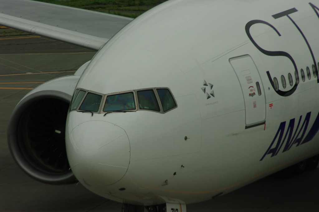 飛行機は好き？