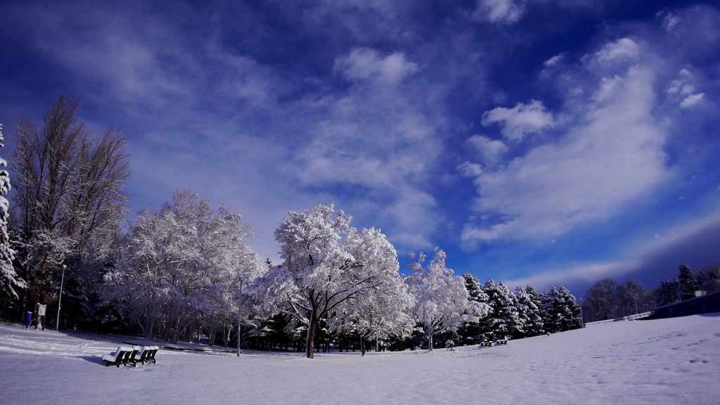 冬　雲　雪