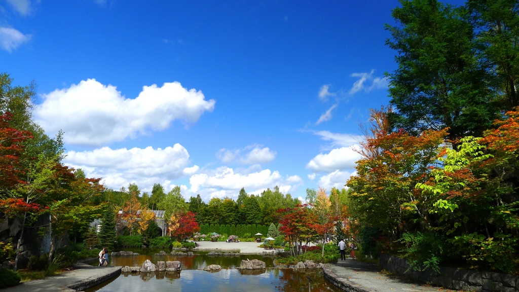 水辺の紅葉　2017
