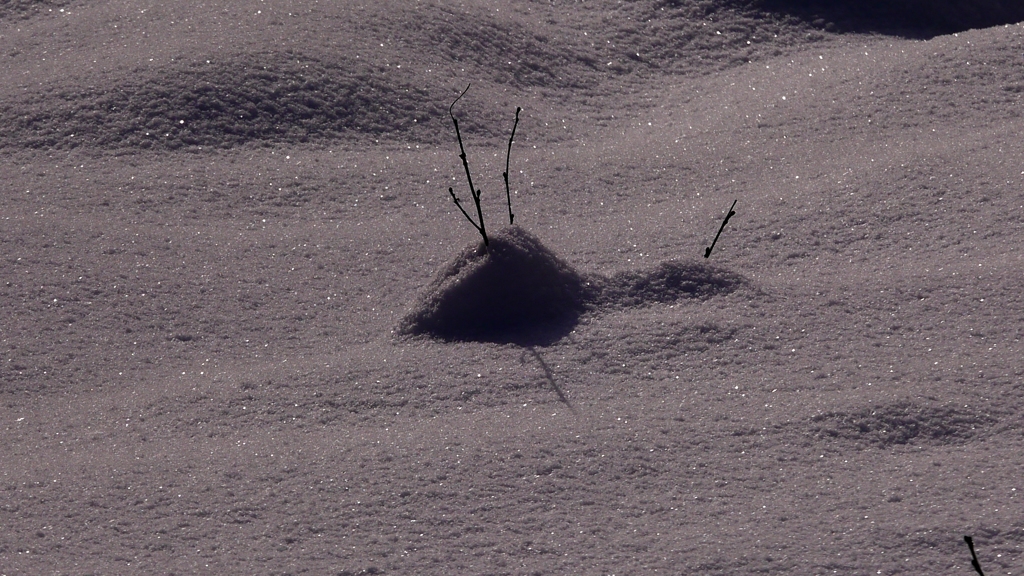 キラキラ雪の午後