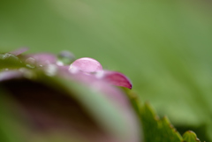 雨の日