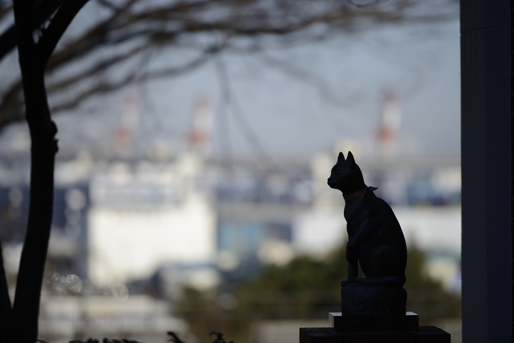 これも・・・ねこ