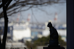 これも・・・ねこ