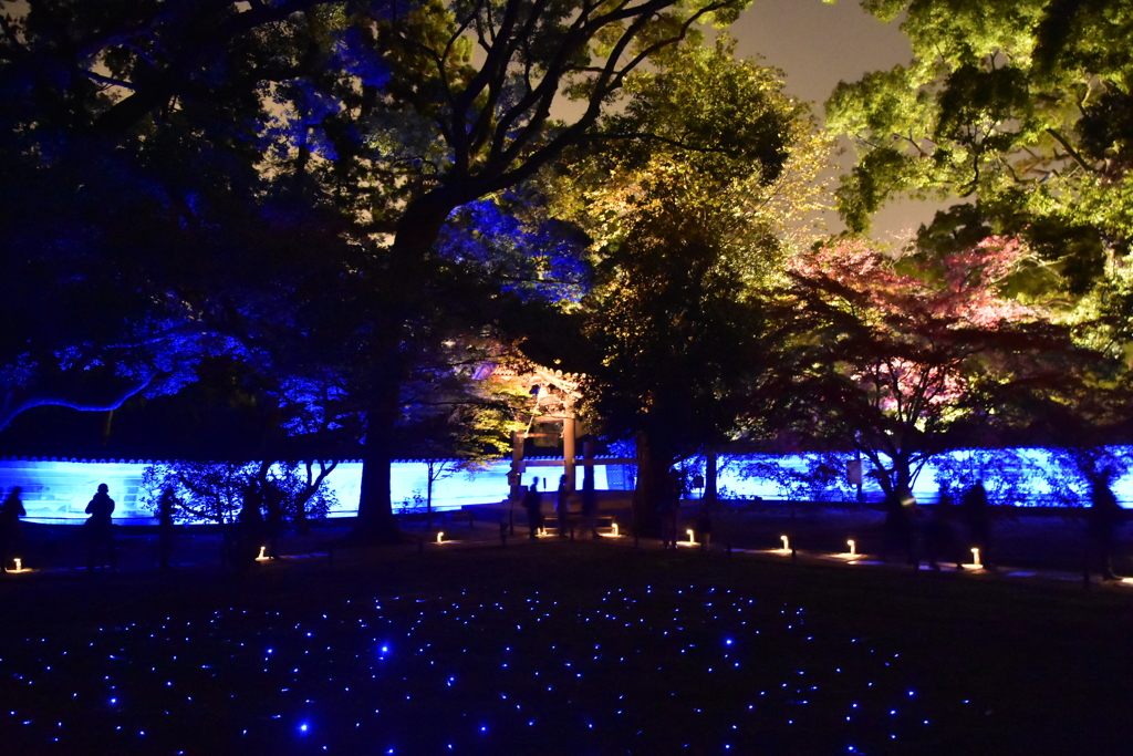 青き寺の夜