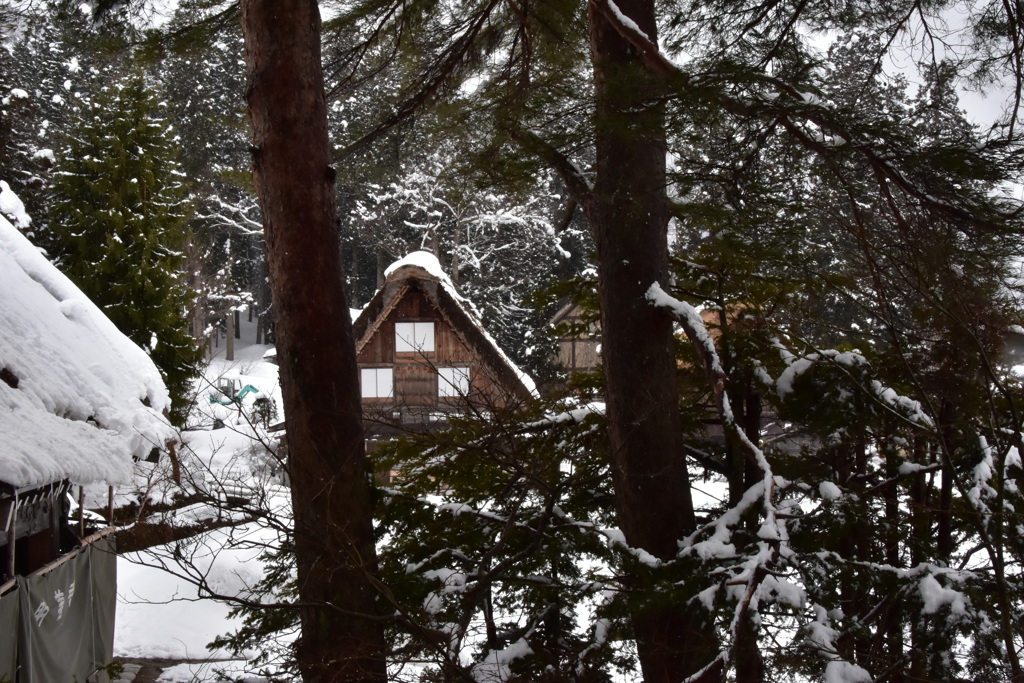 白川郷最奥部