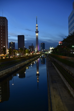 トワイライト・スカイツリー