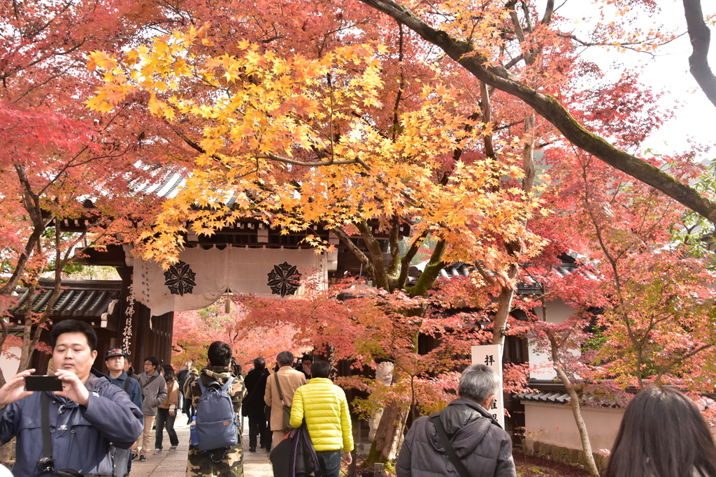 禅林寺正門