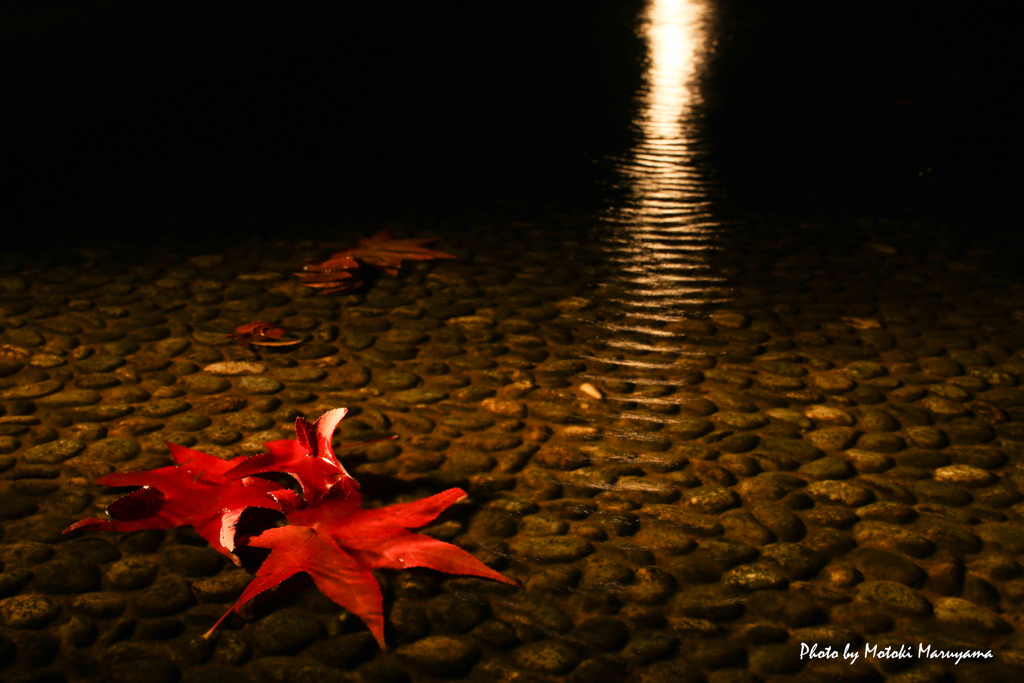 紅葉流し