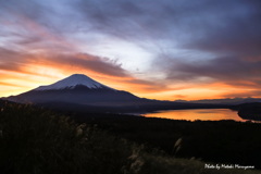 夕日に包まれて