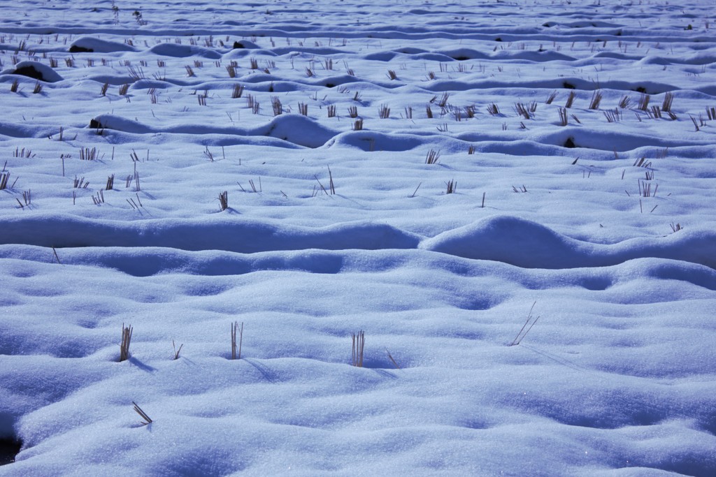 雪の小波