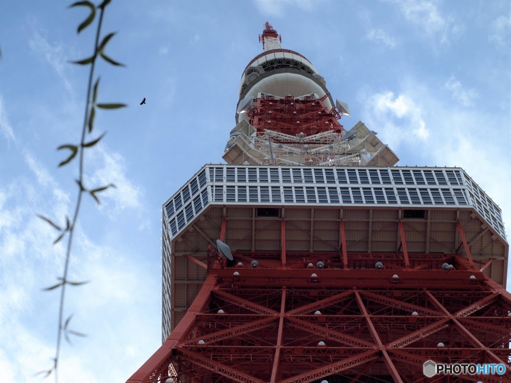 東京タワー