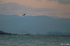 琵琶湖の夕暮れ・冬