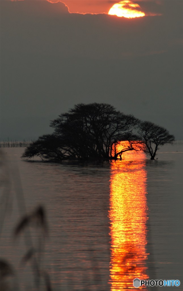 夕日に輝く水面