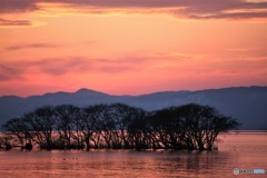 赤紫の風景