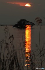 夕日2