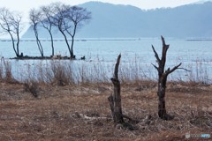 過去と未来