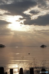 夕日6