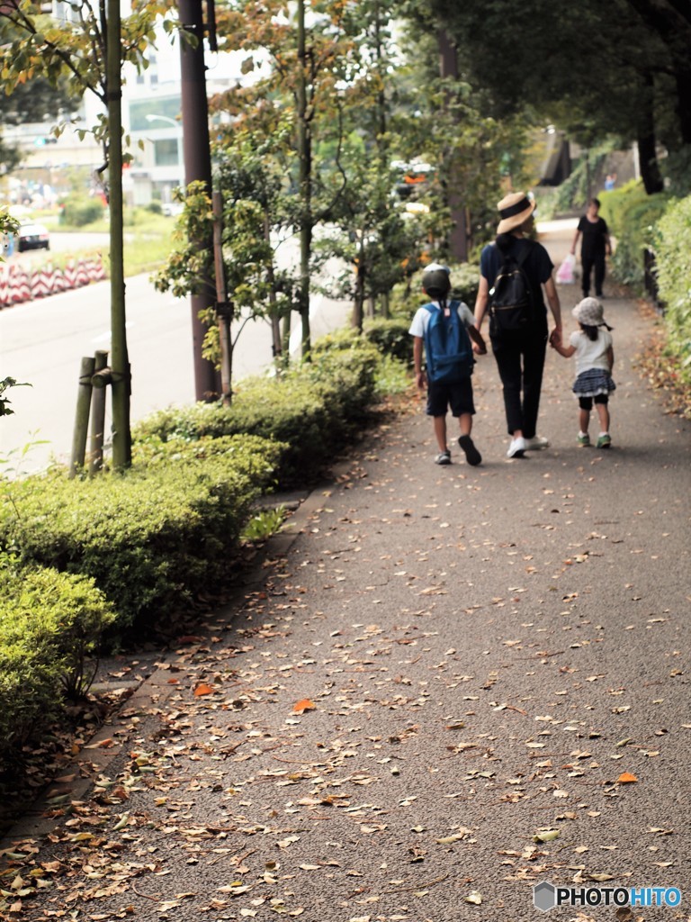 落ち葉の道を歩く最愛の家族