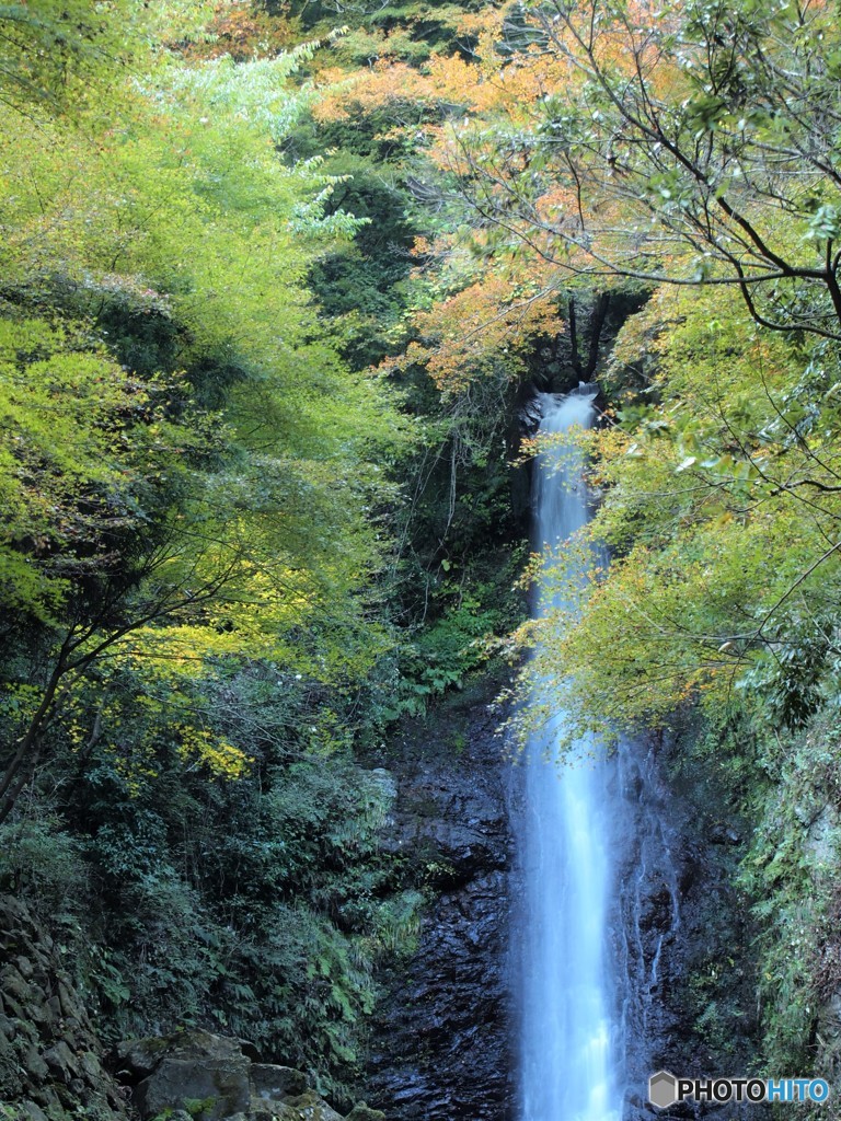 養老の滝・秋4 20161116