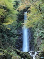 養老の滝・秋3 20161116