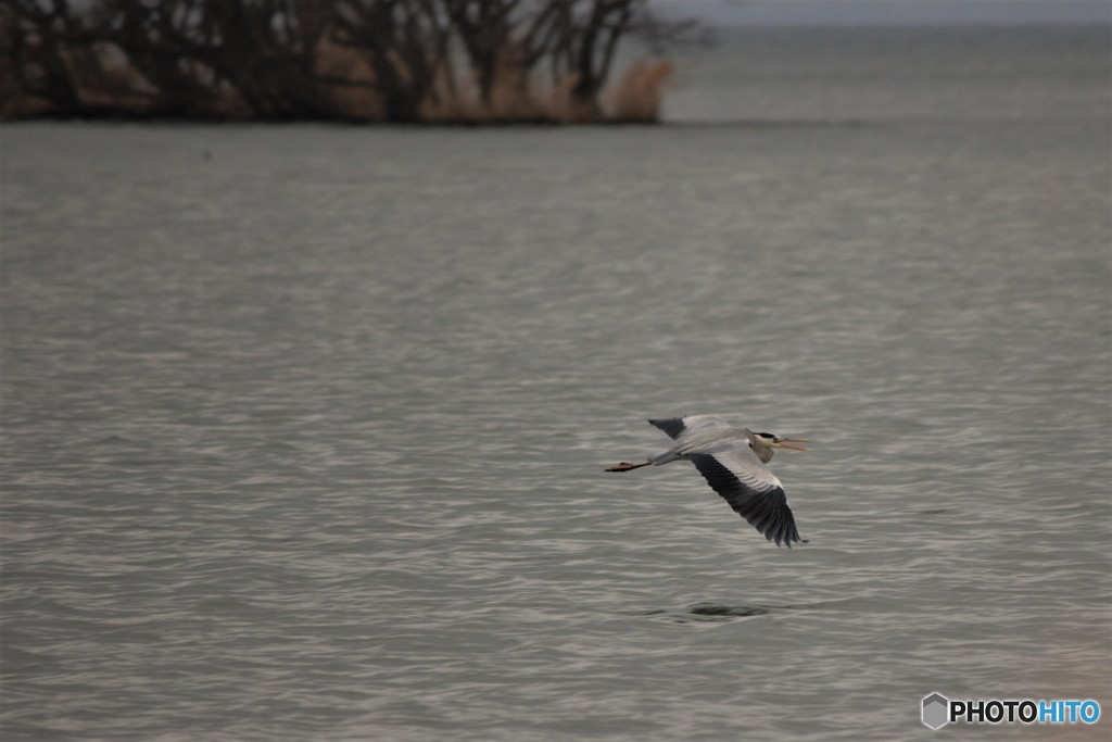 琵琶湖の風景・冬3