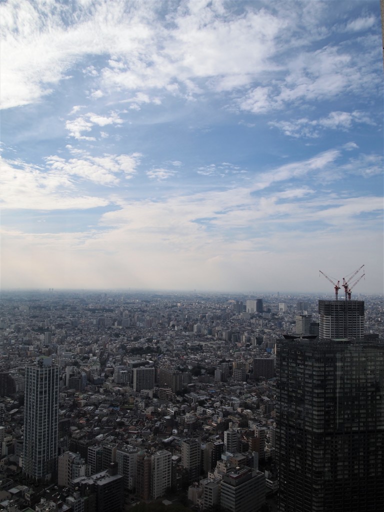 都庁からの展望