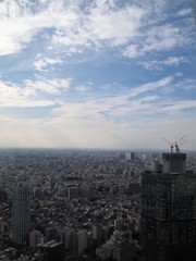 都庁からの展望