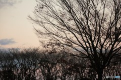 秋の夕暮れ2