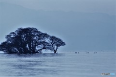冬の湖（大胆に色補正）