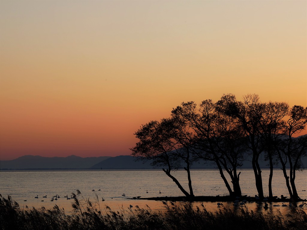 夕日の湖