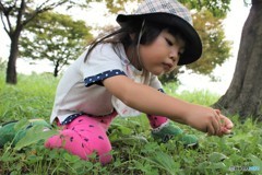 草だよ
