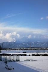 公園と雪の伊吹山