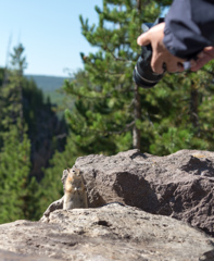 はい、チーズっ！
