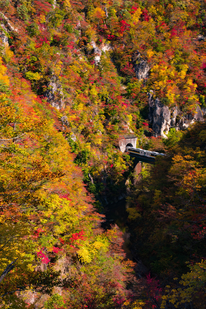 陸羽東線と紅葉