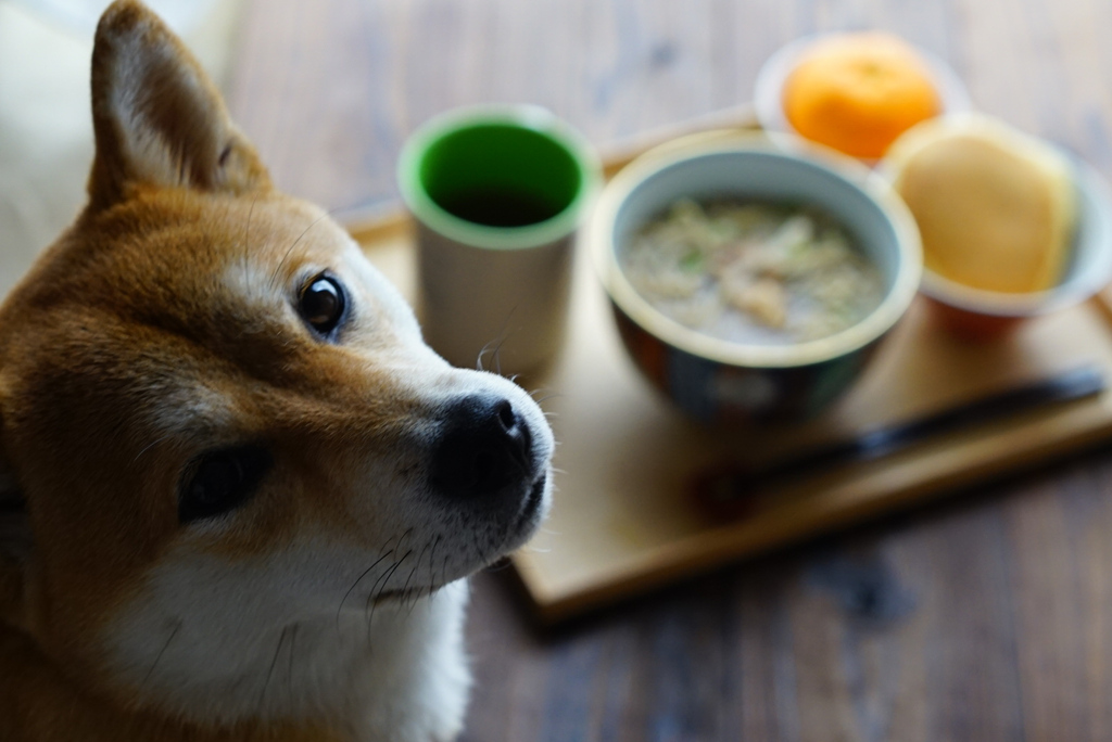 たべていいですか？