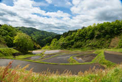 大張沢尻棚田