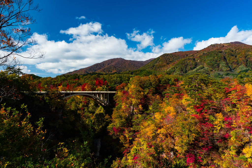 大深沢橋