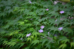 終演