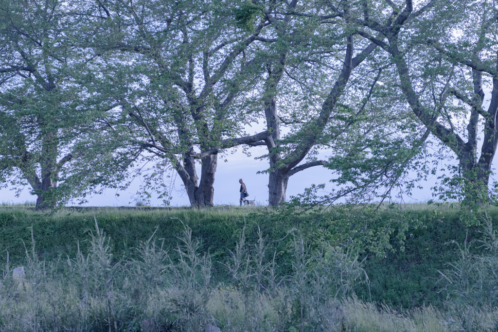 散歩
