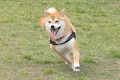 らんらんるー♪