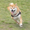 らんらんるー♪