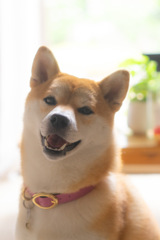 楽しいね